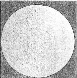 针状聚集物，如图1所示